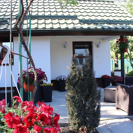 Casuta Artistilor Villa Breaza  Exterior photo