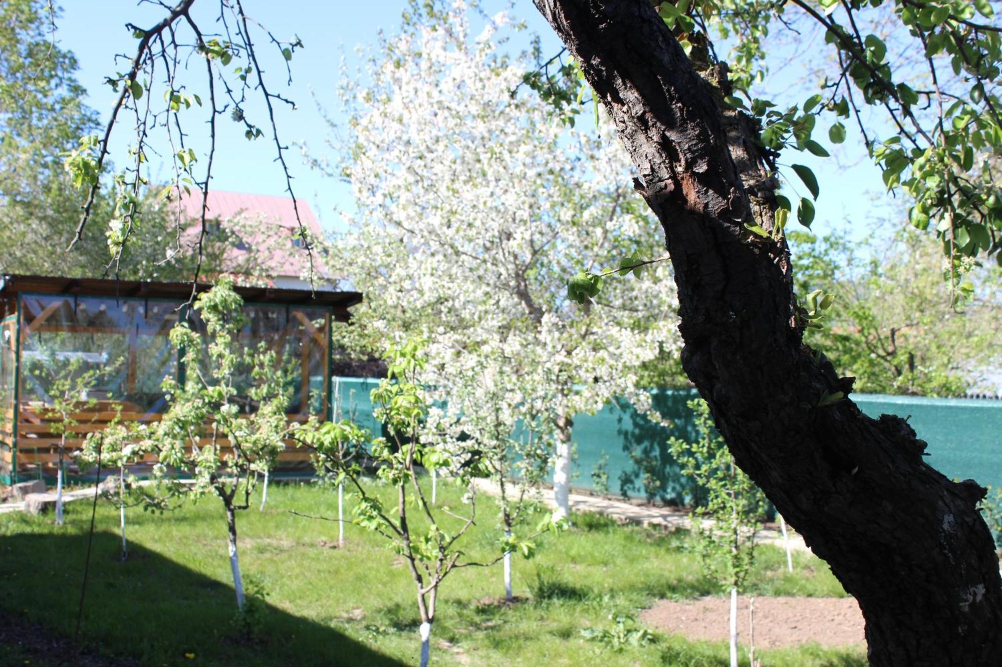 Casuta Artistilor Villa Breaza  Exterior photo