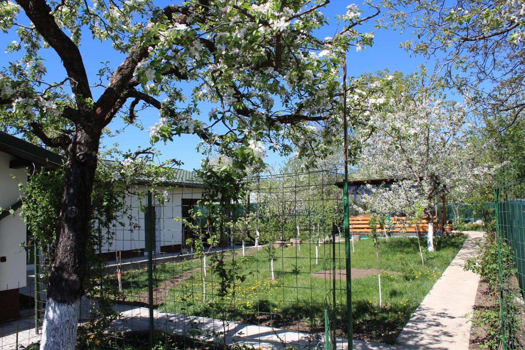 Casuta Artistilor Villa Breaza  Exterior photo
